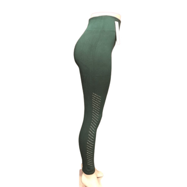 Fur Lined Stone Accent Legging 12 Pack Assorted Colors (Size: One Size Fits All)